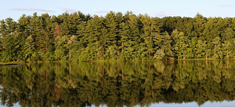Body of water surrounded by trees in Holyoke